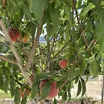 مزرعة للإقامة Refugio D Alecrim *