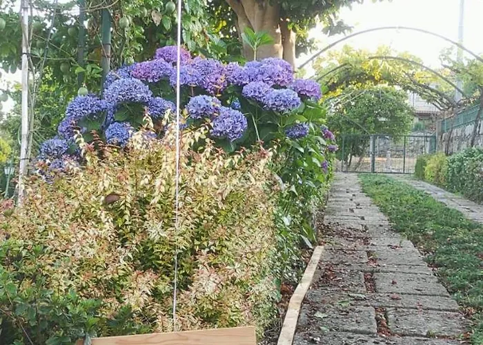 Gospodarstwo agroturystyczne Refugio D Alecrim